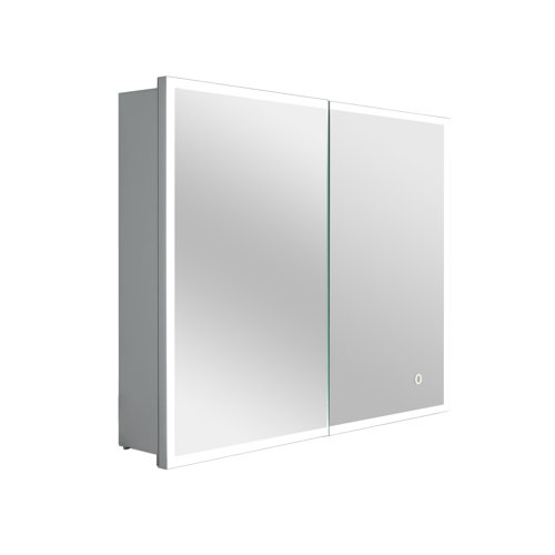 Brayden Studio® 2 Doors Medicine with 2 Adjustable Shelves and LED Lighting Electrical